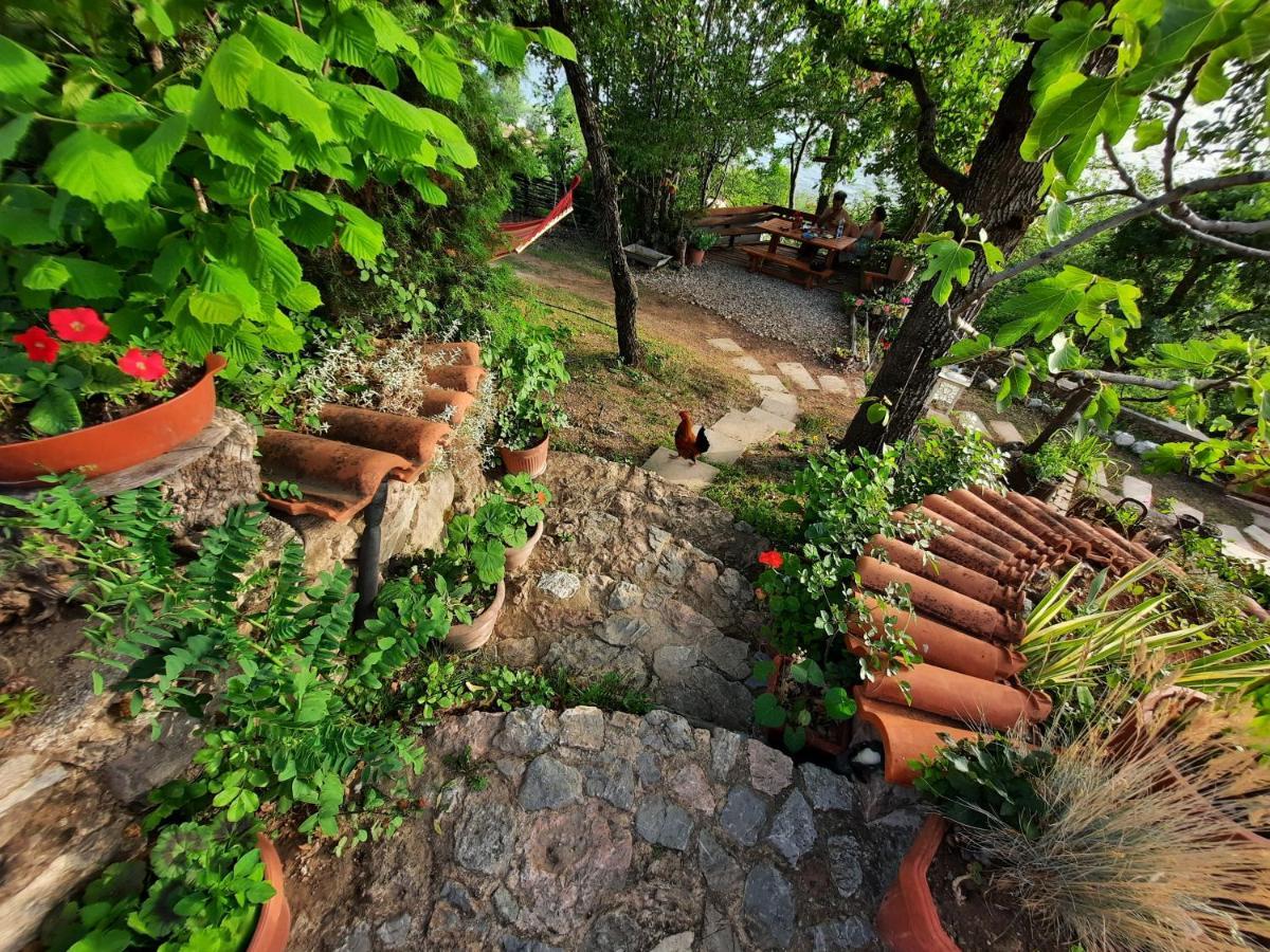 Robinson Sunset Guest House Lagadin Extérieur photo